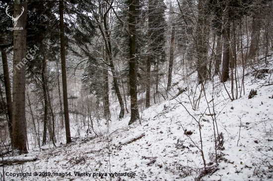 Vašarnica