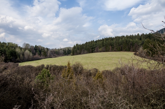 Horná hôrka
