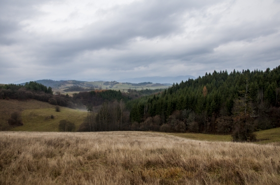 Očovskie lúke