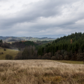 Očovskie lúke