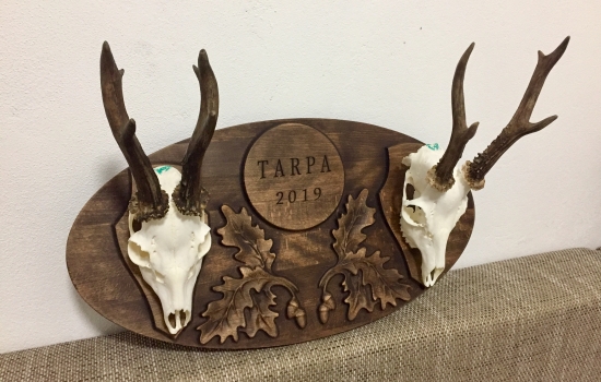 Spomienka na Maďarsko