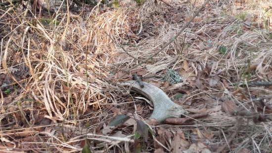 1/2019 - Konečne, alebo keď neprší aspoň kvapká . . .