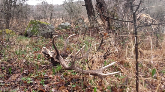 Namiesto zhodov . . .