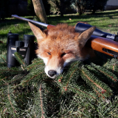 Krásne ráno, ešte krajší lišiak a smrtelne presná 222-ka