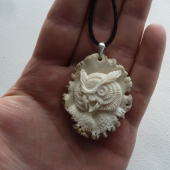 privesok zo sovičkou..