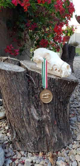 Zlatá z maďarska