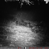 príprava budúcej generácie