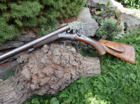 brokovnica lankasterka