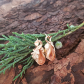 Poĺovnicke naušnice  s grandlami