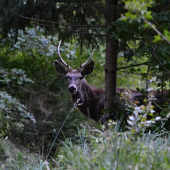 po tichu k nim......