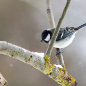 Nachvíľku posedela