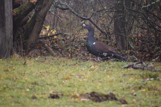 nezabudnutelne stretnutie