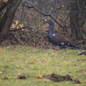 nezabudnutelne stretnutie