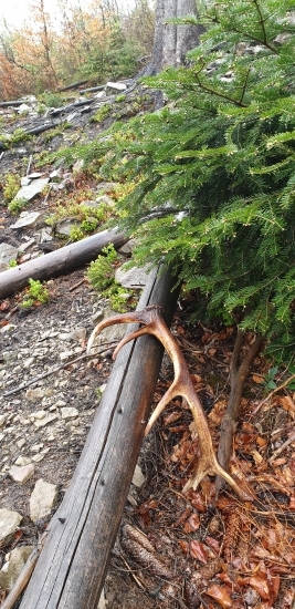 Aj takto sa da. Starsi.