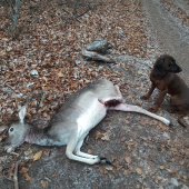 IHF Dia Mútňanská dolina- danielka zadné koleno