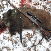 Januarovy lanštiačik