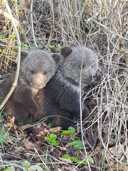 V jedno slnečné sobotné popoludnie za humnami...