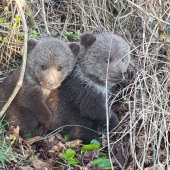 V jedno slnečné sobotné popoludnie za humnami...