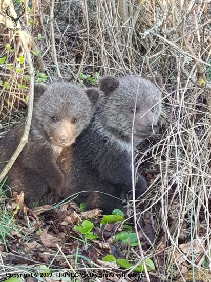 V jedno slnečné sobotné popoludnie za humnami...