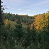 Jeseň je najkrajší Maliar