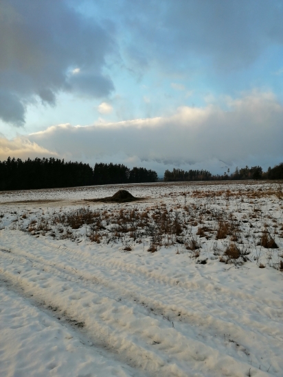 VYSOKÉ TATRY krmenie