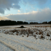 VYSOKÉ TATRY krmenie