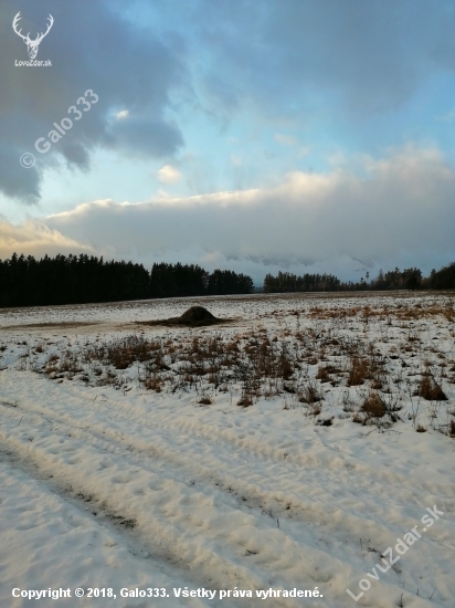 VYSOKÉ TATRY krmenie