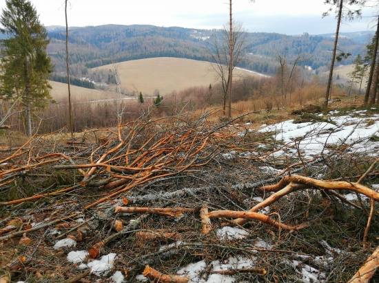 Po Stopách Vysokej