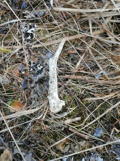 Keď som mal čas v robote