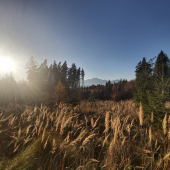 POSLEDNÝ KRÁSNY DEŇ