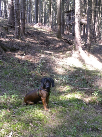 Jeden z posledných...pohľadov na posed