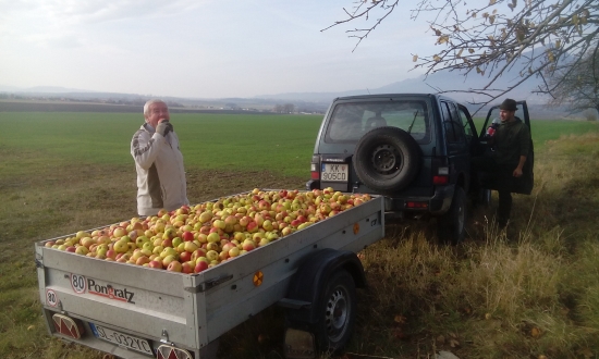 Vybrali sme sa na JABLKA