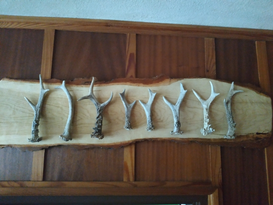 Ešte mi tam 2 chýbajú