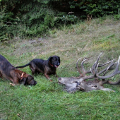 trochu jsme pocvičili ...