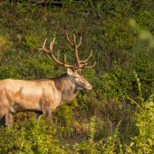 Po roku sme sa zas stretli