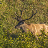 s pánkom som sa stretol aj o pár dní
