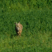 Vyzerá to tak že ešte k tebe prídem