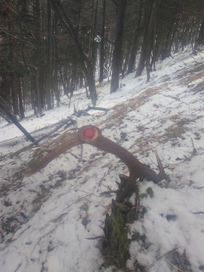 Skoro som ho prehliadol