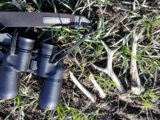 Nedelňajšia prechádzka