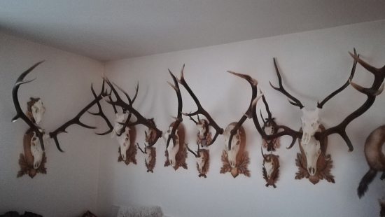 Druhá časť trofejí