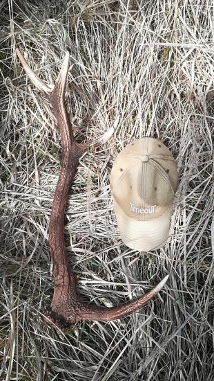 Vysoko nasadena stredná vetva