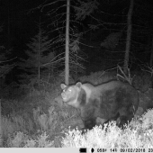 Zabudni - posed obsadený