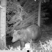 po zime zase zapózujem