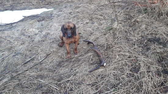 Aj mi sme už zahajili sezónu