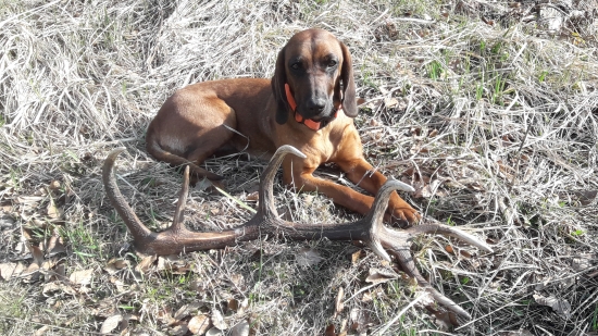 Z dnešnej prechádzky