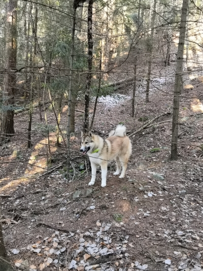 Na posliedke s kamarátom.