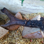 Prvý čerstvý v novej sezóne