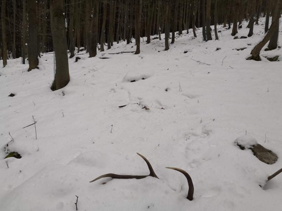 Februárové šťastie...