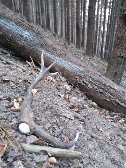 prvo aprílový desaťtorák