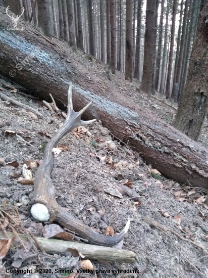 prvo aprílový desaťtorák